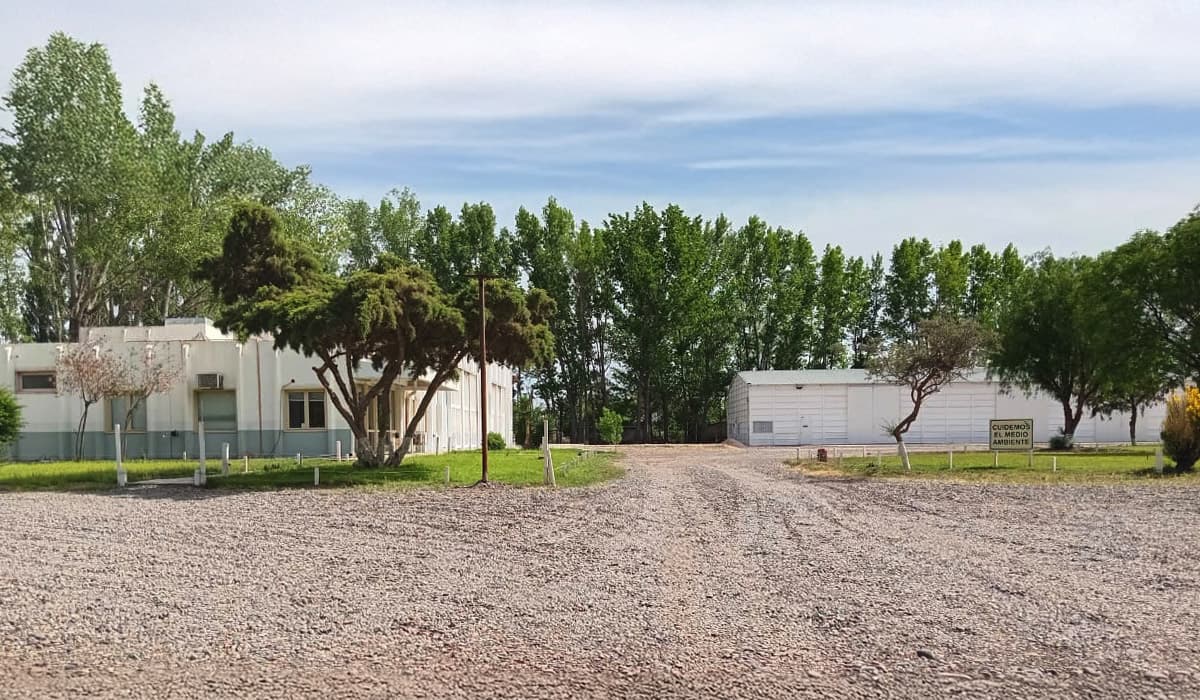 Sepesur Base Mendoza